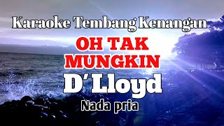 OH TAK MUNGKIN  Dlloyd  Karaoke nada pria  Lirik [upl. by Yerd360]