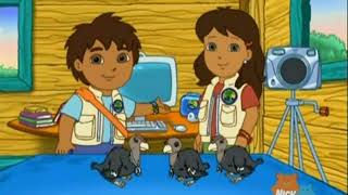 Go Diego Go  1x06  Three Little Condors Best Moment Plus [upl. by January495]