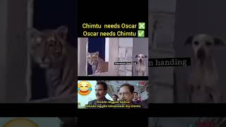 Chimtu needs Oscar ❌ Oscar needs chimtu✅ crazyvlogs CrazyVlogs0817 [upl. by Dola83]