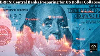 BRICS Nations Central Banks Gear Up for the Collapse of US Dollar [upl. by Jann154]