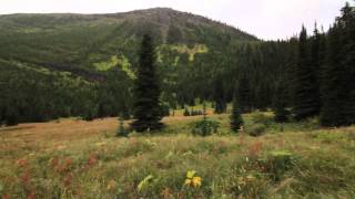 Blakiston Falls amp Snowshoe Trail  Waterton Lakes National Park [upl. by Cazzie]