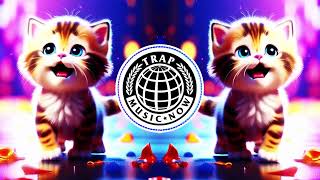 MEOW MEOW MEME SONG OFFICIAL DRILL TRAP REMIX TIK TOK  NOA [upl. by Nelli]