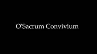 OSacrum Convivium [upl. by Llerej240]