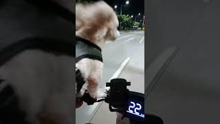 Episode 2 26OCT2024 Saturday Night Ride Braun Loves Adventure on a Honda Sundiro S08 Ebike [upl. by Elmer]