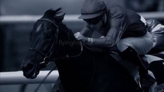 Whatever It Takes Horse Racing Music Video [upl. by Wilbert]