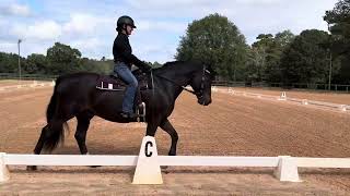 Gerlinde Beckers riding Roscommon Fagan [upl. by Gnen]