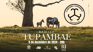 REMATE TUPAMBAÉ [upl. by Nellahs]