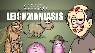 Leishmaniasis  Plain and Simple [upl. by Wallie]