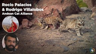 WCN Fall Expo 2017  Andean Cat Alliance Rocio Palacios and Rodrigo Villalobos [upl. by Lede189]