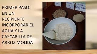 Platos biodegradables hecho con cascarilla del arroz [upl. by Edme171]