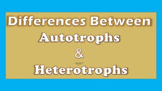 Unlocking the Differences Autotrophs vs Heterotrophs  A Clear Explanation [upl. by Samal]