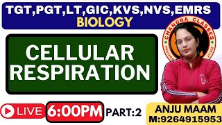 CELLULAR RESPIRATION  PART 2  BY ANJU MAM [upl. by Trescha]