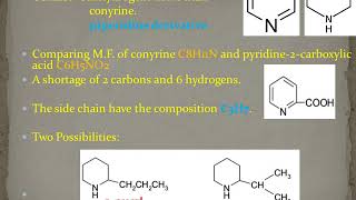 Coniine  structural Elucidation and synthesis  III BSc Chemistry  MS University Syllabus [upl. by Lesli]