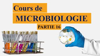 Cours de microbiologie partie 16 généralités sur les milieux de culture [upl. by Shumway]