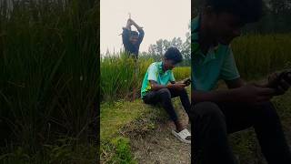 The boy is beaten from inside the paddy field village heartofthevillage shorts [upl. by Adnawat134]