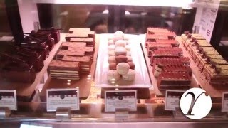 Burdicks Chocolate [upl. by Dolorita]