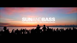 Klute B2B Dom amp Roland  Sun and Bass 2015 [upl. by Buyer]