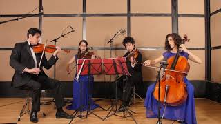 Wedding March Wagner String Quartet Wedding Music [upl. by Airal]