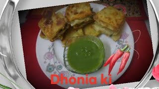 Dhonia pata ki chatni [upl. by Avehsile]