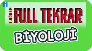 11Sınıf 1Dönem Biyoloji Full Tekrar 🔁 2023 [upl. by Clementius]