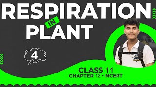 ETSOP • Respiration In Plant • Class 11 NCERT Explanation [upl. by Fillbert60]