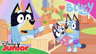 💜 Fioletowe gatki  Blue  Disney Junior Polska [upl. by Nednerb]