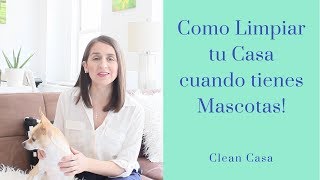 Como Limpiar tu Casa Cuando Tienes Mascotas  Clean Casa [upl. by Anotyal]