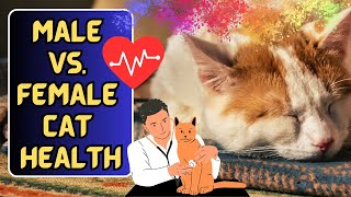 Do Male Cats Have More Health Problems [upl. by Fagan]