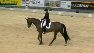 Dorothee Schneider  Pathétique  VR CLASSICS 2019 [upl. by Ronnie567]