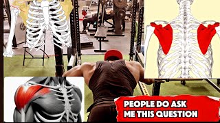 HOW TO PREVENT PECTORAL MUSCLE TEAR STRENGTHEN YOUR CLAVICLES AND SCAPULA sub KOPIOVT [upl. by Chu]