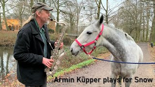 Horse and saxophone  LET IT SNOW  ARMIN KÜPPER plays saxophone for Lissys horse quotSnowquot [upl. by Hartnett]