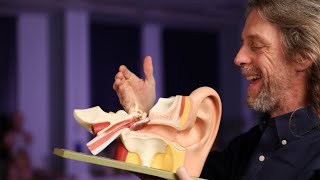 Acoustic reflex anatomy middle ear muscle reflex stapedial reflex [upl. by Anailuy681]