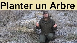 Comment planter un Arbre [upl. by Rimma]