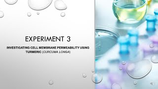 LAB EXPERIMENT 3  INVESTIGATING CELL MEMBRANE PERMEABILITY USING TURMERIC CURCUMA LONG [upl. by Inaoj145]