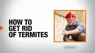 How to Get Rid of Termites  DIY Pest Control  The Home Depot [upl. by Anuahsal396]