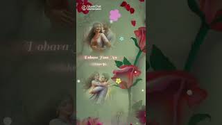 ❤️ the cute song in Hindi song 👌🌹 [upl. by Odlamur409]