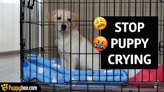 HOW TO GET PUPPY TO STOP CRYING IN CRATE [upl. by Imelda]