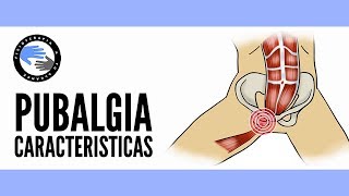 Pubalgia que es por que se produce como se diagnostica cual es su tratamiento [upl. by Ilene]