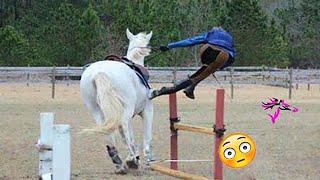 New Funny Horse 🐴  funniest and cute Horse Videos Compilation Made your day with 🐴1 [upl. by Childers726]