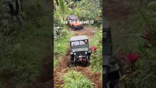 Jeep Willys Fun Offroad jeep jeepwillys offroad automobile indonesia [upl. by Eidlog]