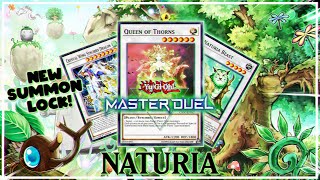 THE MOST ANNOYING NATURIA DECK IN MASTER DUEL  YuGiOh Master Duel [upl. by Adne]