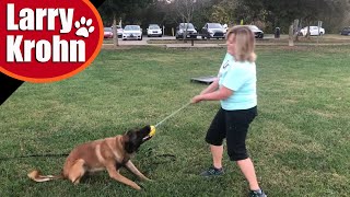 Training dog owners to train their dog [upl. by Nerahs]