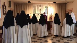 Carmelite Nuns [upl. by Alemat91]