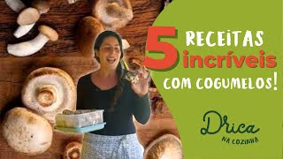 5 receitas com Cogumelo  Drica na Cozinha [upl. by Fisken568]