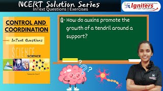 How do auxins promote the growth of a tendril around a support [upl. by Fredkin453]