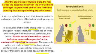 Skinners Operant Conditioning Skinners Rat Experiment Reinforcement Schedules [upl. by Ecille]