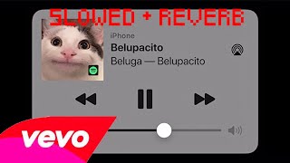 Beluga  Belupacito Slowed  reverb [upl. by Haela]