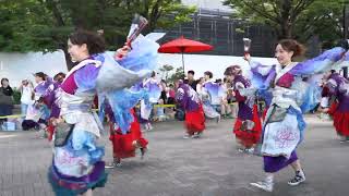 百華夢想 東京支部【4K】／NHK前ストリート／原宿表参道元氣祭スーパーよさこい 2024（初日） [upl. by Dysart]