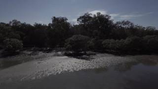 Poverty Creek Bribie Island [upl. by Mihcaoj93]