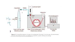 Gas ChromatographyGas LiquidGas SolidChromatogramGC MSLC MSMass SpectrometryUrduHindisaad [upl. by Ijan]